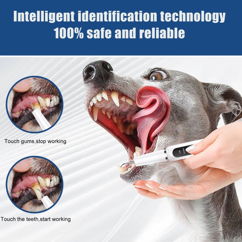 Dog Calculus Remover Pet Ultrasonic Tooth Cleaner Cat Tooth Cleaning Tool Artifact Tooth Cleaner Machine - Image 3